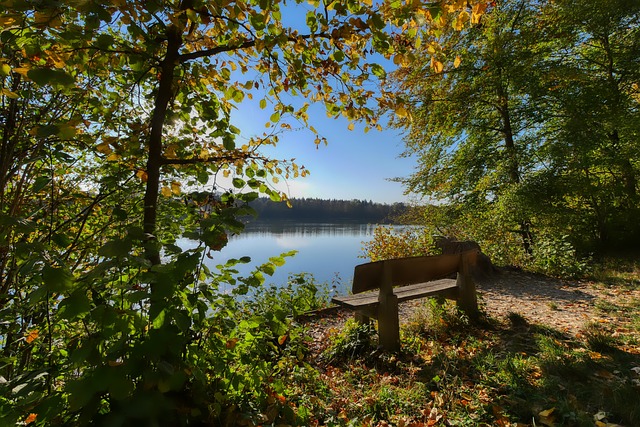 俱乐部指定 俱乐部指定