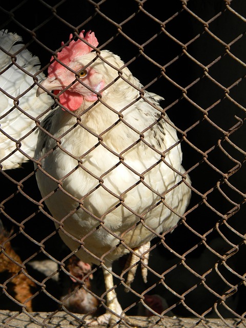 持与努力去 持与努力去