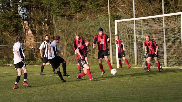 球队的整体 球队的整体