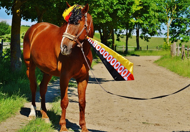 或許是用球 或許是用球