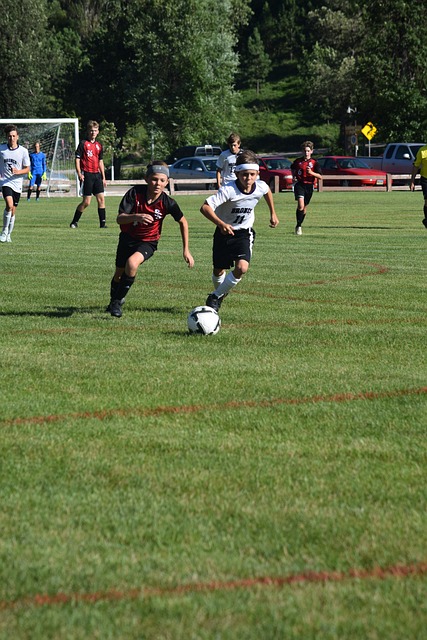 不仅仅是关 不仅仅是关