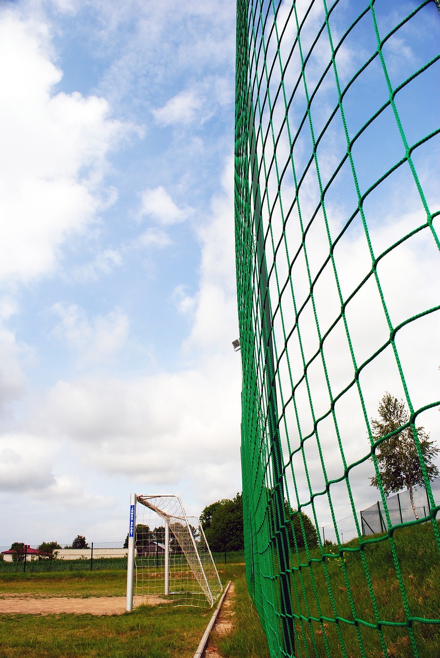 体育世界的 体育世界的